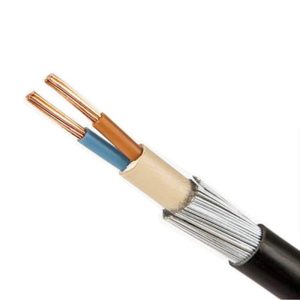 NCI - 2 Core Armoured Cable